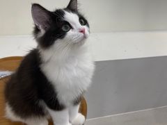 -共舞时光猫咖·狗咖(新街口店)