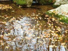 -丹东天桥沟景区