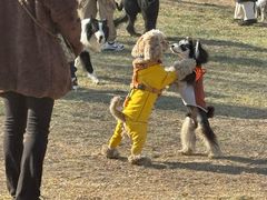 -小意思咖啡店(草桥店)