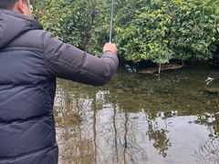 -重庆彩云湖湿地公园