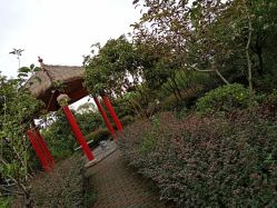 -南海地球村生态亲子乐园