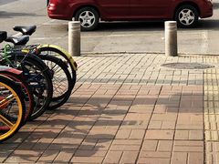 -紫竹院公园-东门停车场