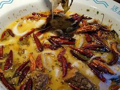 -花椒俏川菜小馆(南海万达店)