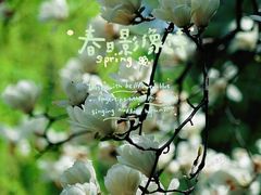 -木塔寺遗址生态公园