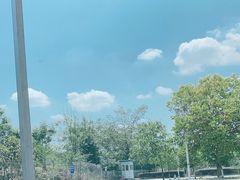 -紫颐香薰山谷景区