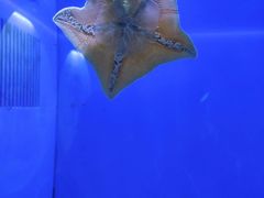 -海合安青岛极地海洋公园