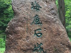 -黎坪国家森林公园