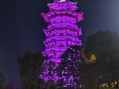 -洋湖国家湿地公园