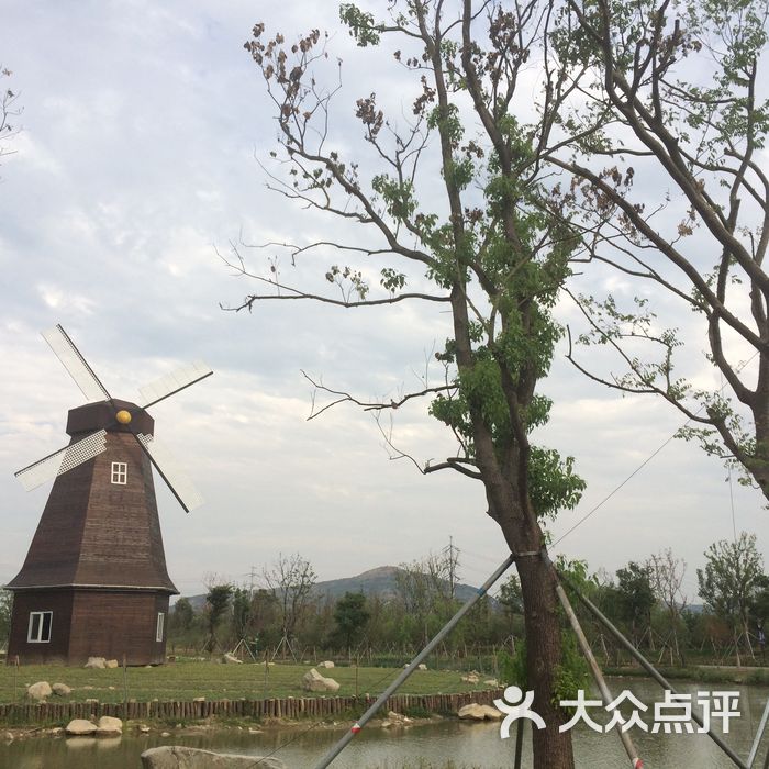 大陽山植物園