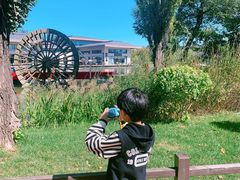 -林栖谷森林康养度假区
