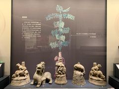 -四川大学博物馆