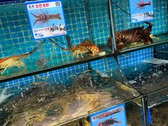 -范饭椰林川湘味海鲜·椰子鸡(三亚湾椰梦长廊店)
