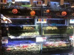 水产区-桥东喜碧海鲜街(水东街店)