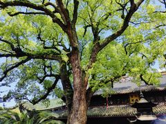 -阿育王寺