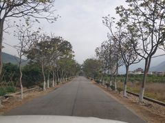 -广州市石门国家森林公园