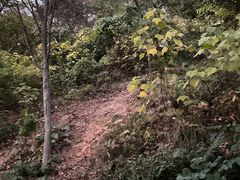-南京老山国家森林公园