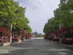 -郑和公园