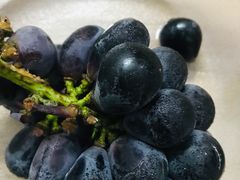 -百果园(愉景南苑店)