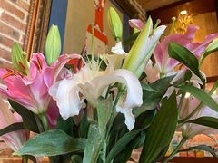 -额尔敦传统涮火锅·冰煮羊(铁东店)