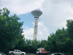 -食家鸽园