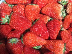 -比格比萨自助(花园路店)