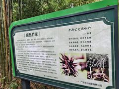 -中山市树木园