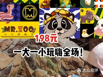 来动物园和animals玩耍吧！