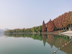 -天鹅湖体育公园