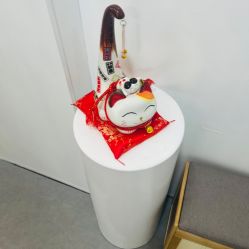 -DELAVAY黛乐薇抗衰中心