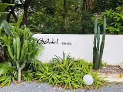 -芭厘农庄老字号·清远鸡