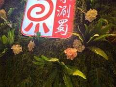 门面-来涮蜀鲜货火锅串串香(菜市口店)