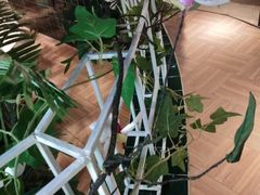 -原味田园·客家菜·土窑鸡(中航城君尚购物中心店)