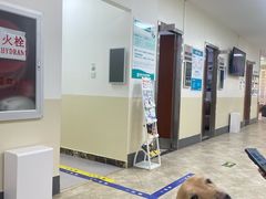 -美联众合动物医院·24h转诊中心