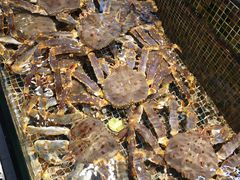 -海鲜e族(马王堆店)