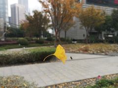 -上海中心大厦