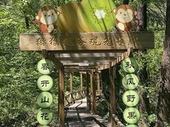 -大岭沟猕猴桃谷风景区