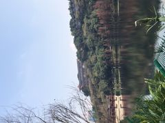 -重庆彩云湖湿地公园