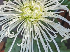 -南山植物园