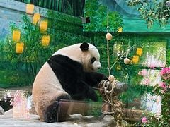 -灵玲国际马戏城