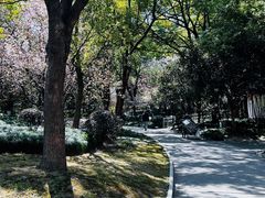 -黄兴公园