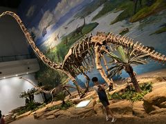 -自贡恐龙博物馆