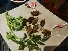-大匠工房古船木艺术餐厅·猪肚鸡专门店(长白仙岛店)