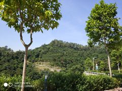 -火炉山森林公园