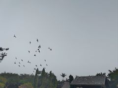 -厦门园林博览苑