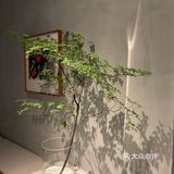武汉|家庭聚会新去处👨👩👧Sokka铁板烧🥩