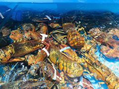 -港畔赶海蒸汽海鲜烧烤自助(仙螺岛店)