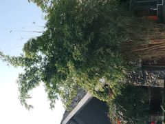 -茅庐·川粤精品私房菜(金沙遗址店)