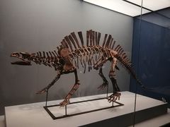 -湖南省地质博物馆