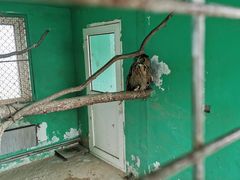 -西霞口神雕山野生动物世界