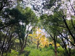 -花溪公园